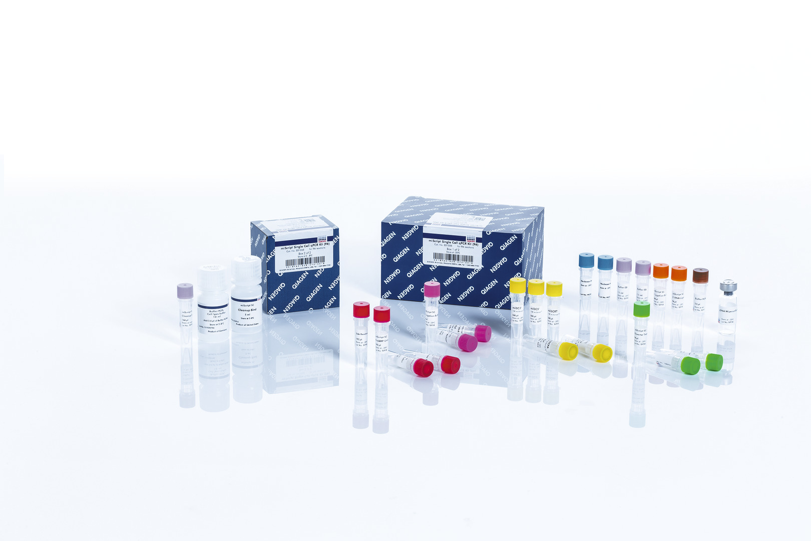 miScript Single Cell qPCR Kit 天津市莱博科技有限公司